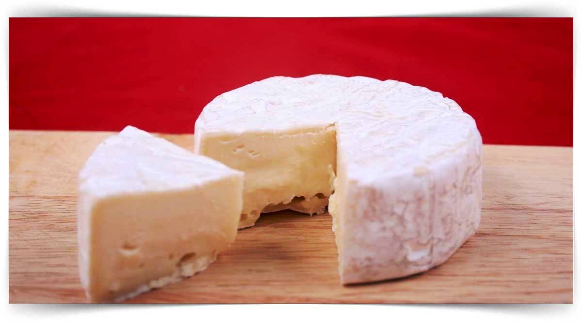 Beyaz Peynir Üretimi Eğitimi