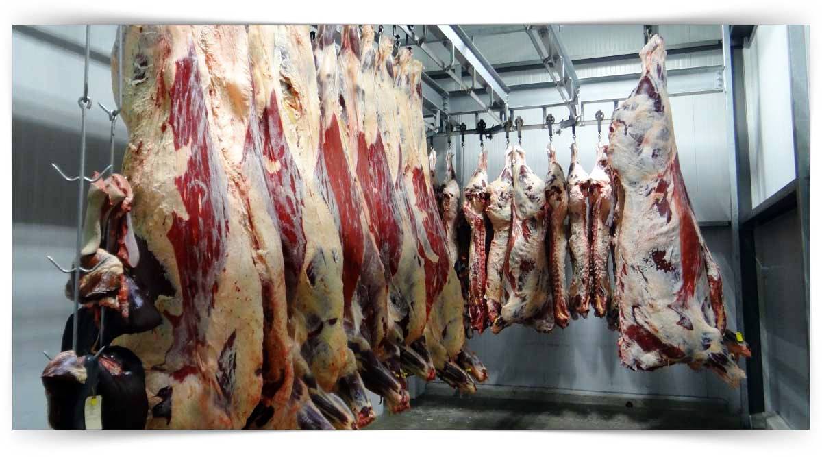 Endüstriyel Et İşleme Eğitimi