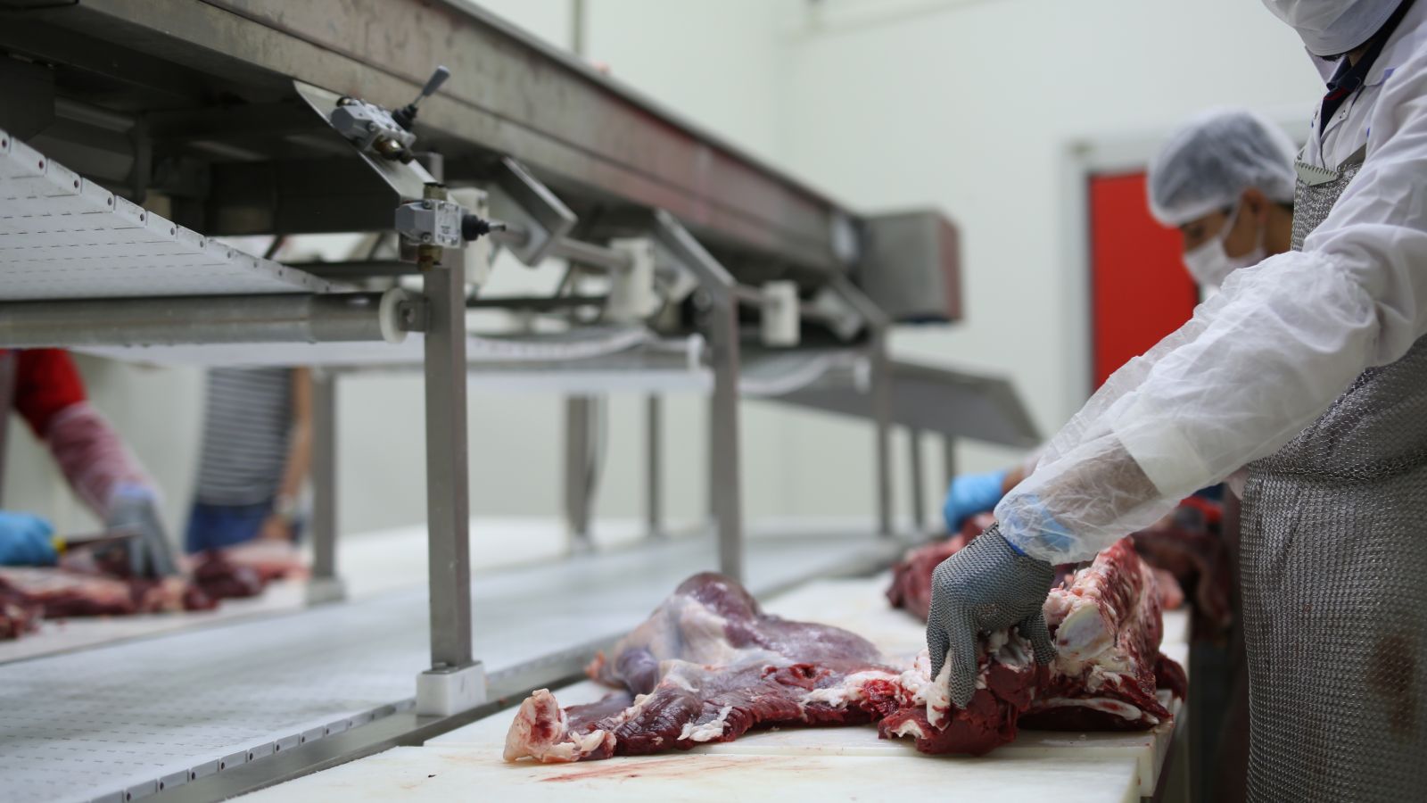 Et İşleme ve Reyon Elemanı Eğitimi