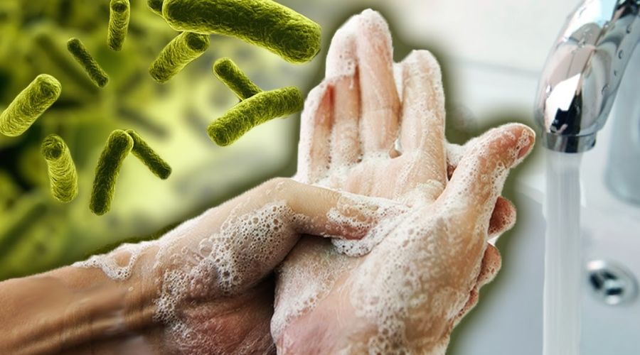 Kantinciler ve Çalışanları İçin Sağlıklı Gıda Üretimi Eğitimi ve E-Devlet Onaylı Sertifika