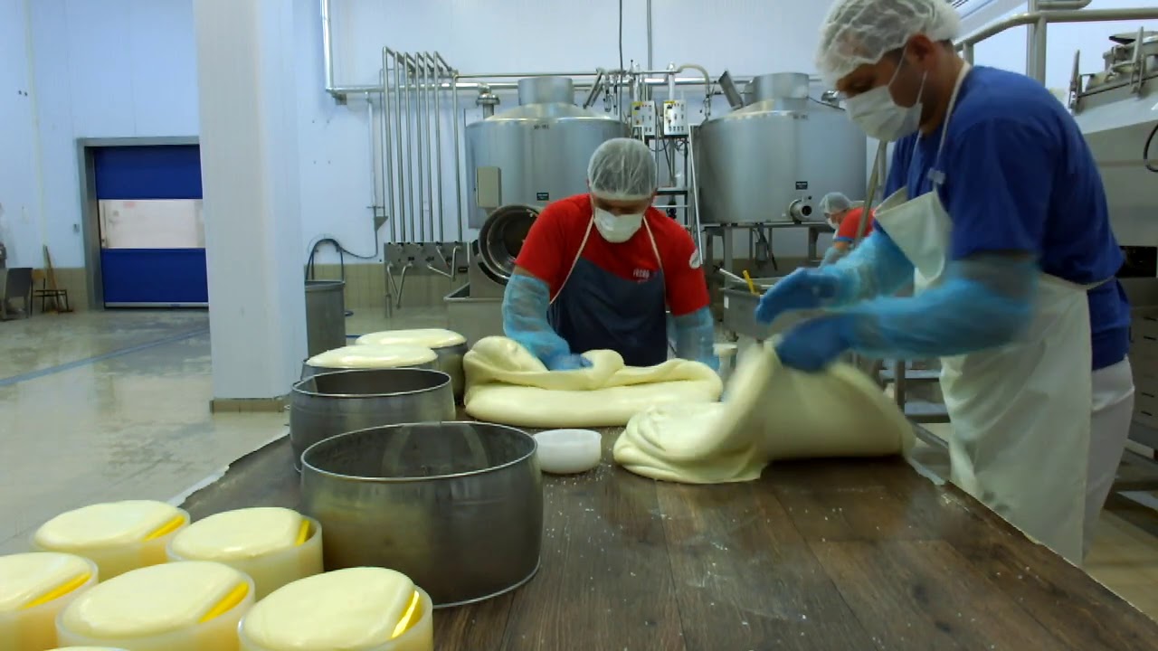 Kaşar Peyniri Üretimi Eğitimi
