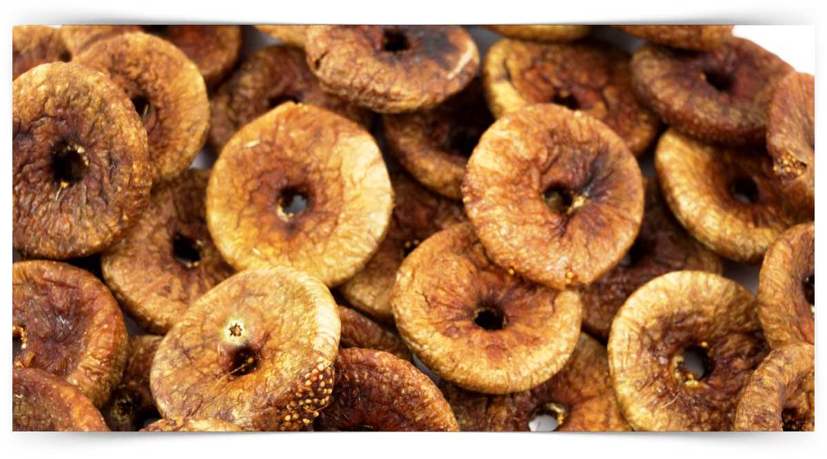 Kuru İncir İşlemeciliği Eğitimi